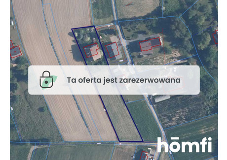 Działka na sprzedaż - Rodzinna Dąbrowa Szlachecka, Czernichów, Krakowski, 3000 m², 680 000 PLN, NET-1942/2089/OGS