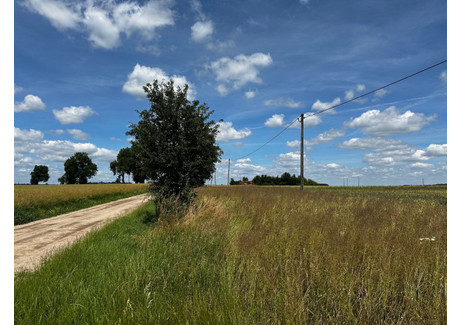 Działka na sprzedaż - Dolne Pole Kaźmierz, Szamotulski, 4800 m², 480 000 PLN, NET-29200260