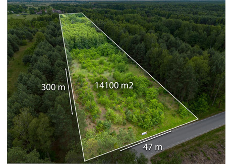 Działka na sprzedaż - Lipie, Dąbrowa Zielona, Częstochowski, 14 100 m², 199 000 PLN, NET-ZG724231