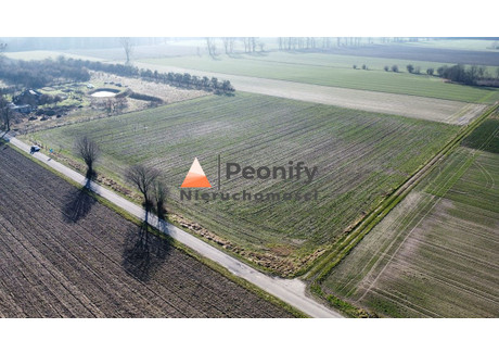 Działka na sprzedaż - Gryfice, Gryficki, 1806 m², 99 300 PLN, NET-19/PNO/DZS-78