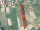 Działka na sprzedaż - Grębosze, Radoszyce (Gm.), Konecki (Pow.), 11 300 m², 94 000 PLN, NET-10