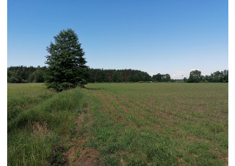 Działka na sprzedaż - Bukowiecka Cicha Góra, Nowy Tomyśl (gm.), Nowotomyski (pow.), 94 567 m², 3 850 000 PLN, NET-15