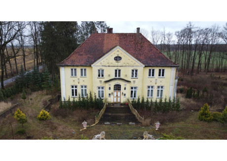 Dom na sprzedaż - Podegrodzie, Drawno, 658,78 m², 1 700 000 PLN, NET-XML-4301-431096