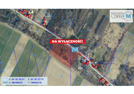 Działka na sprzedaż - Wojkowiec, Lelusin, Chęciny, Kielecki, 9900 m², 180 000 PLN, NET-TWJ-GS-2051