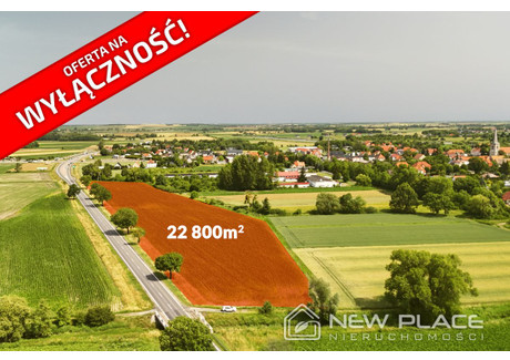 Działka na sprzedaż - Jordanów Śląski, Wrocławski, 22 800 m², 2 029 200 PLN, NET-NP954359