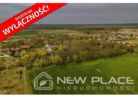 Działka na sprzedaż - Główna Jeszkowice, Czernica, Wrocławski, 40 760 m², 3 500 000 PLN, NET-NP633918