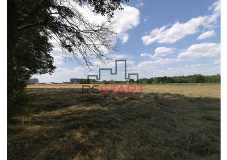 Działka na sprzedaż - Stare Budy, Jaktorów, Grodziski, 3500 m², 249 000 PLN, NET-RES480302