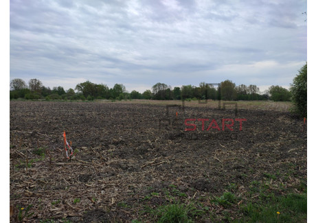 Działka na sprzedaż - Jeżynowa Budy Zosine, Jaktorów, Grodziski, 1347 m², 165 000 PLN, NET-761746