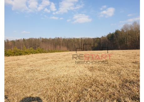 Działka na sprzedaż - Skuły, Żabia Wola, Grodziski, 5500 m², 489 500 PLN, NET-RES957385