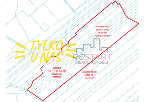 Działka na sprzedaż - Bliska Siestrzeń, Żabia Wola, Grodziski, 75 000 m², 16 500 000 PLN, NET-835815