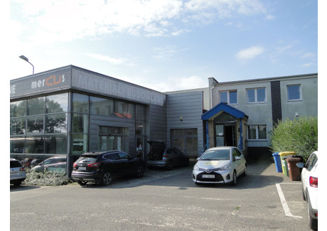 Lokal do wynajęcia - Legnica, 335,8 m², 8731 PLN, NET-17