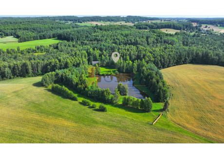 Działka na sprzedaż - Grabowska Huta, Nowa Karczma, Kościerski, 16 780 m², 980 000 PLN, NET-43/9733/OGS