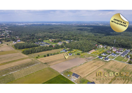 Działka na sprzedaż - Dąbrowa, Wielicki, 5000 m², 1 500 000 PLN, NET-568032