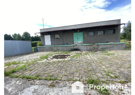 Lokal na sprzedaż - Anieliny, Sadki, Nakielski, 75 m², 250 000 PLN, NET-14/16208/OOS