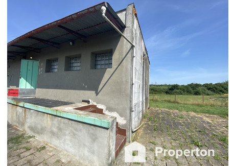 Lokal na sprzedaż - Anieliny, Sadki, Nakielski, 75 m², 250 000 PLN, NET-14/16208/OOS