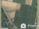 Rolny na sprzedaż - Dobruchów, Wodzierady, Łaski, 9700 m², 194 000 PLN, NET-291/16208/OGS