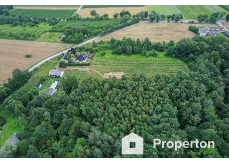 Działka na sprzedaż - Jaworce, Karczmiska, Opolski, 4000 m², 260 000 PLN, NET-328/16208/OGS