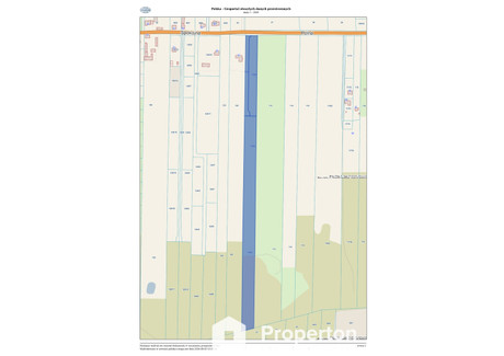 Działka na sprzedaż - Polna Prace Małe, Tarczyn, Piaseczyński, 20 000 m², 550 000 PLN, NET-299/16208/OGS