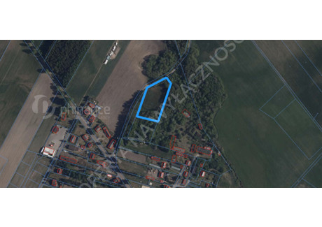 Działka na sprzedaż - Turza Mała, Lipowiec Kościelny, Mławski, 6200 m², 199 000 PLN, NET-905606