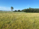 Rolny na sprzedaż - Rosocha, Golina, Koniński, 4000 m², 215 000 PLN, NET-269416