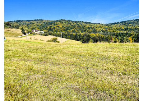 Działka na sprzedaż - Żurowa, Szerzyny, Tarnowski, 1200 m², 59 000 PLN, NET-1525/13924/OGS