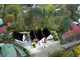 Dom na sprzedaż - Sadowa Tarnów, 108,18 m², 746 000 PLN, NET-537/13924/ODS