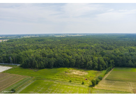 Działka na sprzedaż - Borki, Szczucin, Dąbrowski, 6300 m², 89 000 PLN, NET-1506/13924/OGS