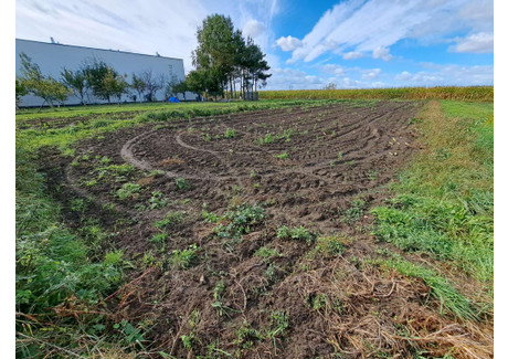 Działka na sprzedaż - Poranna Siemianowice Śląskie, 475 m², 199 000 PLN, NET-43