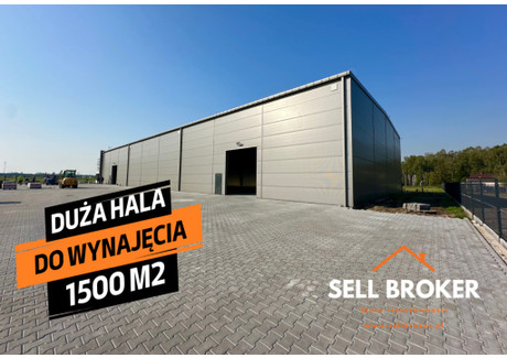 Magazyn, hala do wynajęcia - Mińsk Mazowiecki, Miński, 1500 m², 37 500 PLN, NET-3/14208/OHW