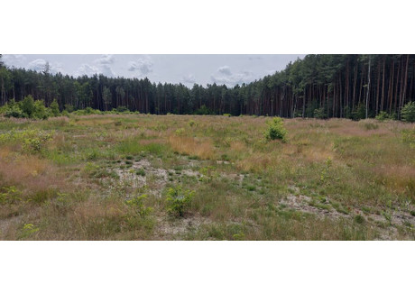 Działka na sprzedaż - Zaonie Jastkowice, Pysznica (gm.), Stalowowolski (pow.), 1180 m², 129 800 PLN, NET-19/16168/OGS