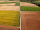Rolny na sprzedaż - Zalesie, Glinojeck (Gm.), Ciechanowski (Pow.), 130 000 m², 990 000 PLN, NET-277
