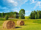 Rolny na sprzedaż - Gorzeń, Nakło Nad Notecią, Nakielski, 100 397 m², 382 000 PLN, NET-BYD-GS-54