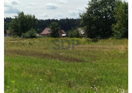 Działka na sprzedaż - Siedlce, Oława, Oławski, 12 554 m², 1 757 560 PLN, NET-31842