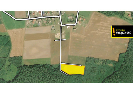 Działka na sprzedaż - Waplewo-Osiedle, Stary Targ (gm.), Sztumski (pow.), 9706 m², 378 000 PLN, NET-GH413696