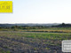 Rolny na sprzedaż - Tolkmicko, Elbląski, 5300 m², 60 000 PLN, NET-188982
