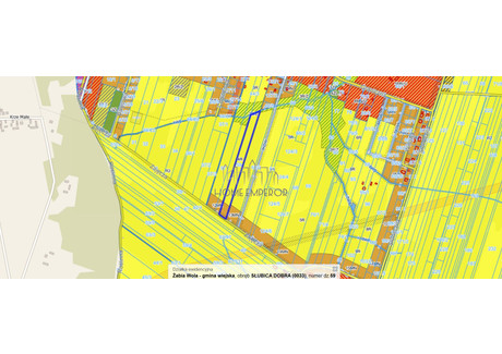 Działka na sprzedaż - Zajęcza Słubica Dobra, Żabia Wola, Grodziski, 15 700 m², 500 000 PLN, NET-EMP-GS-8510