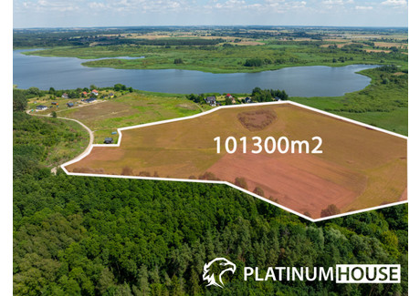 Działka na sprzedaż - Myślibórz, Myśliborski, 101 300 m², 5 571 500 PLN, NET-PH678067