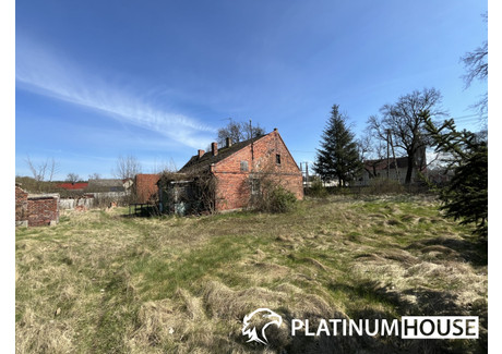 Działka na sprzedaż - Brody, Sulechów, Zielonogórski, 2841 m², 179 000 PLN, NET-PH368840