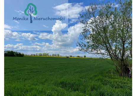 Działka na sprzedaż - Czatkowy, Tczew, Tczewski, 26 000 m², 702 000 PLN, NET-548