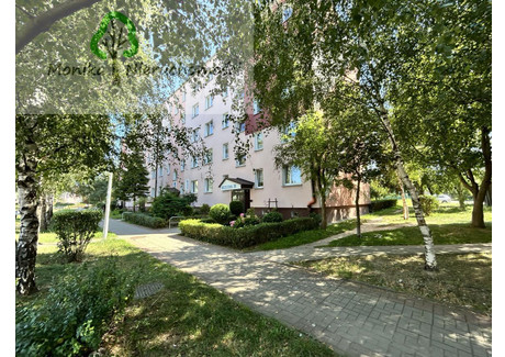 Mieszkanie na sprzedaż - Brzozowa Tczew, Tczewski, 48,9 m², 365 000 PLN, NET-606