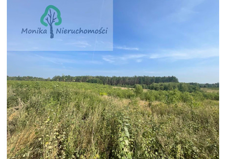 Działka na sprzedaż - Tłuczewo, Linia, Wejherowski, 1006 m², 85 000 PLN, NET-483