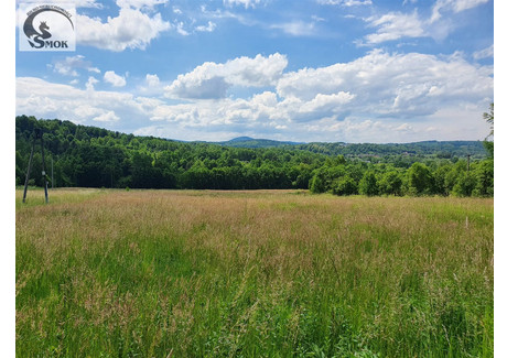 Działka na sprzedaż - Izdebnik, Lanckorona, Wadowicki, 2400 m², 320 000 PLN, NET-SMK-GS-6011