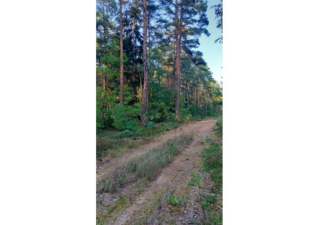 Działka na sprzedaż - Stare Lipki, Stoczek (Gm.), Węgrowski (Pow.), 32 000 m², 500 000 PLN, NET-12