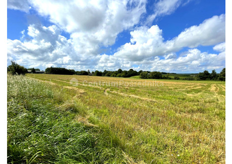 Działka na sprzedaż - Gniewino, Wejherowski, 4300 m², 480 000 PLN, NET-CP1404724