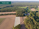 Rolny na sprzedaż - Jesionka, Ciechocin, Golubsko-Dobrzyński, 2800 m², 129 000 PLN, NET-CP0220014