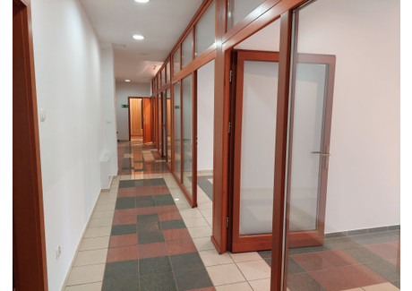 Biuro do wynajęcia - Partynice, Krzyki, Wrocław, 125,3 m², 8000 PLN, NET-24