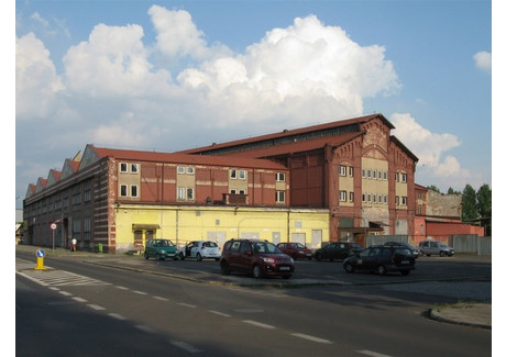 Lokal handlowy na sprzedaż - Chorzów, Chorzów M., 10 435 m², 10 000 000 PLN, NET-CNSS-BS-238