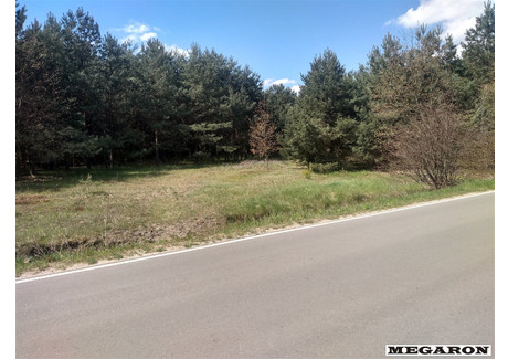 Działka na sprzedaż - Skrajnica, Olsztyn, Częstochowski, 9870 m², 592 200 PLN, NET-MEG-GS-8599