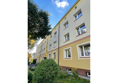 Mieszkanie na sprzedaż - Dworska Zagórze, Sosnowiec, 37,5 m², 225 000 PLN, NET-289