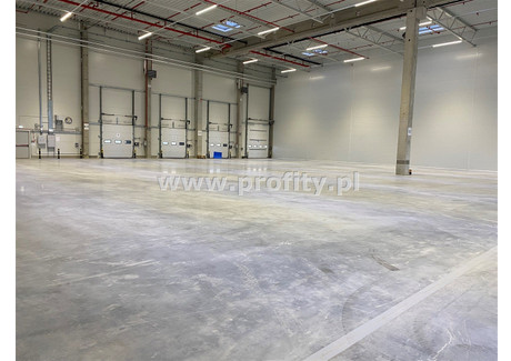 Magazyn do wynajęcia - Zabrze, Zabrze M., 1200 m², 30 941 PLN, NET-PRO-HW-12489